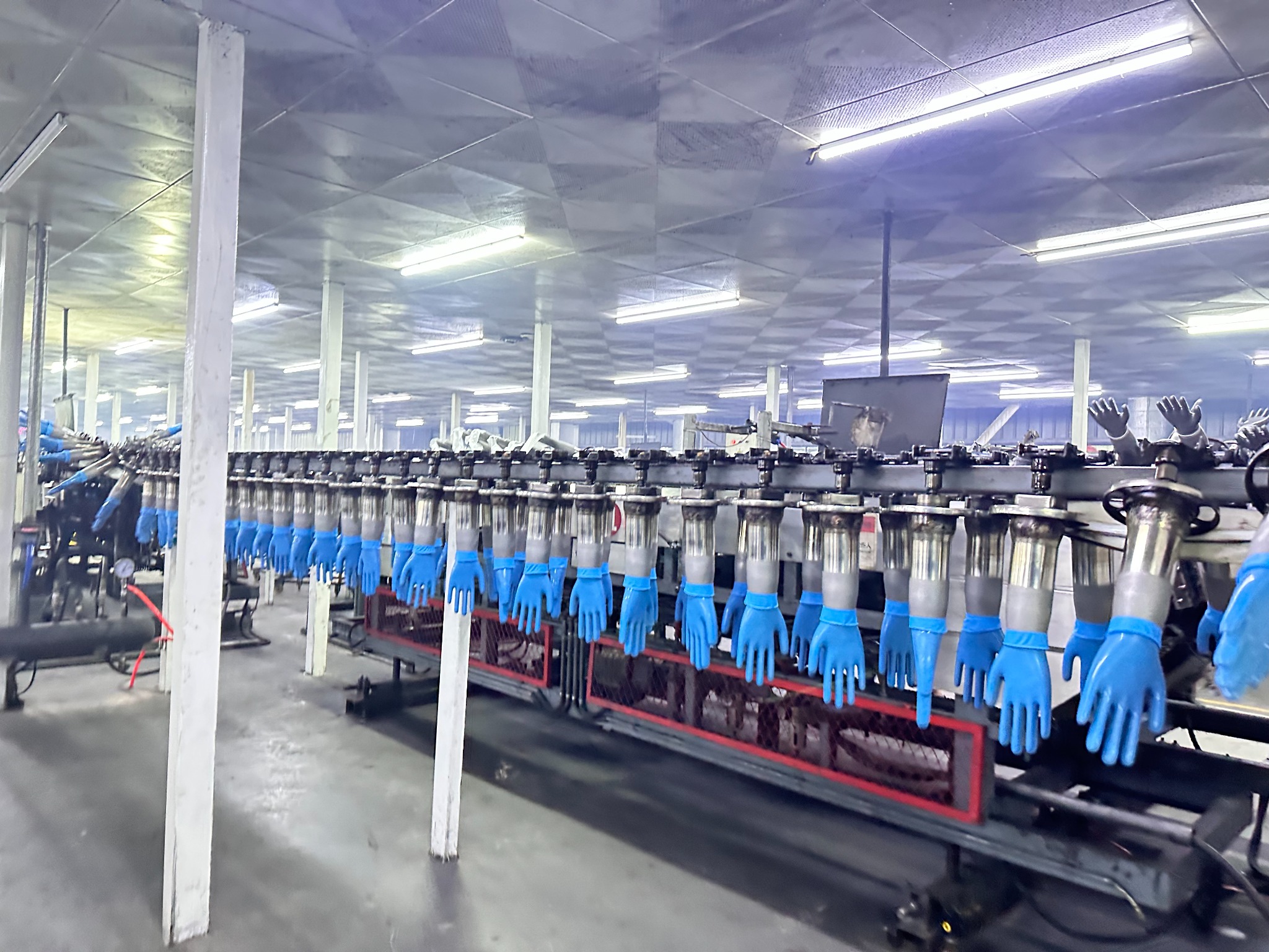 Real disposable glove production line